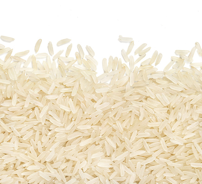 Rice as a source of carbohydrates in pet food